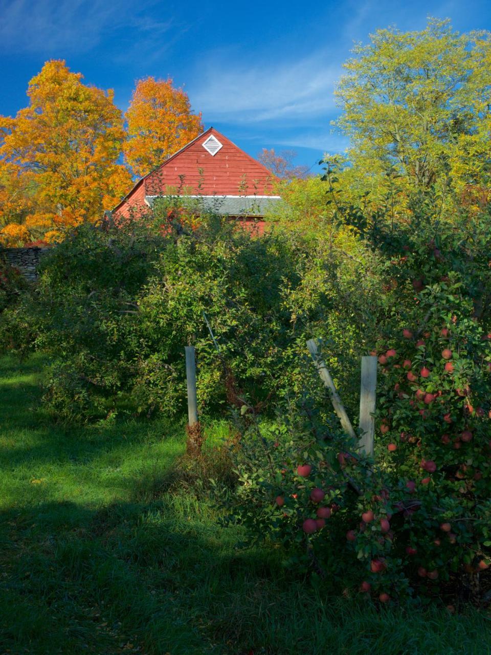 Danskammer House Bed & Breakfast Marlboro Экстерьер фото